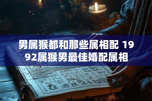 男属猴都和那些属相配 1992属猴男最佳婚配属相