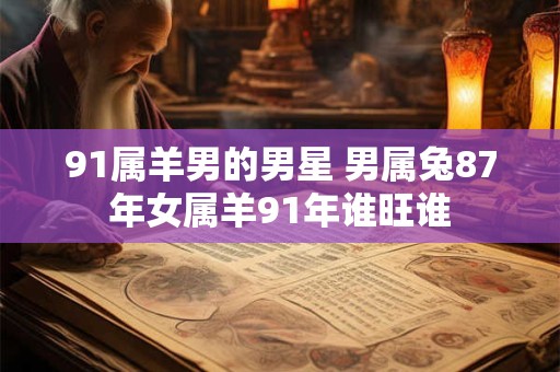 91属羊男的男星 男属兔87年女属羊91年谁旺谁
