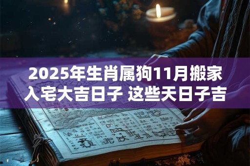 2025年生肖属狗11月搬家入宅大吉日子 这些天日子吉利