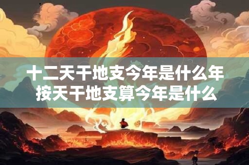 十二天干地支今年是什么年 按天干地支算今年是什么年