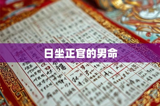 日坐正官的男命