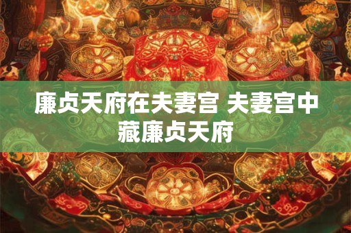 廉贞天府在夫妻宫 夫妻宫中藏廉贞天府