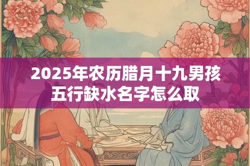 2025年农历腊月十九男孩五行缺水名字怎么取