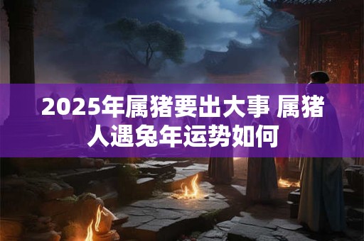 2025年属猪要出大事 属猪人遇兔年运势如何