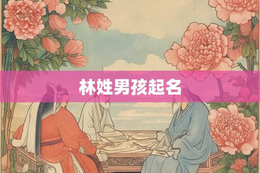 林姓男孩起名