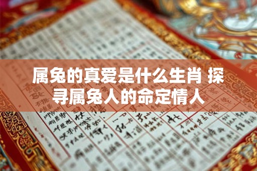 属兔的真爱是什么生肖 探寻属兔人的命定情人 属兔的真爱是什么生肖 探寻属兔人的命定情人