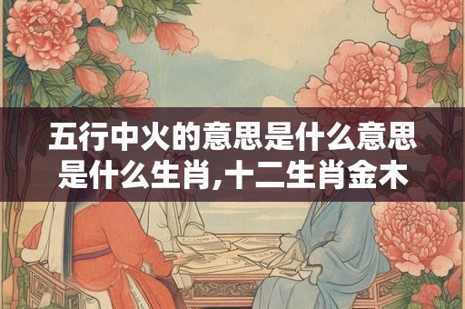 五行中火的意思是什么意思是什么生肖,十二生肖金木水火土表