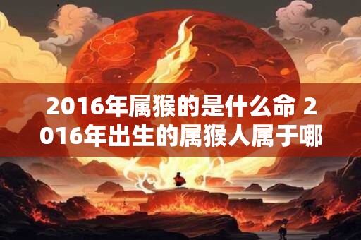 2016年属猴的是什么命 2016年出生的属猴人属于哪种命格 2016年属猴的是什么命 2016年出生的属猴人属于哪种命格