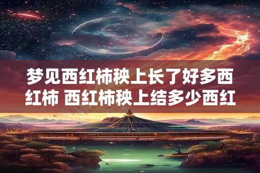 梦见西红柿秧上长了好多西红柿 西红柿秧上结多少西红柿 梦见西红柿秧上长了好多西红柿 西红柿秧上结多少西红柿