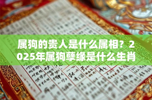 属狗的贵人是什么属相？2025年属狗孽缘是什么生肖？