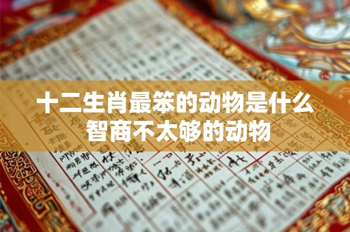十二生肖最笨的动物是什么 智商不太够的动物