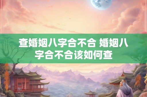 查婚姻八字合不合 婚姻八字合不合该如何查