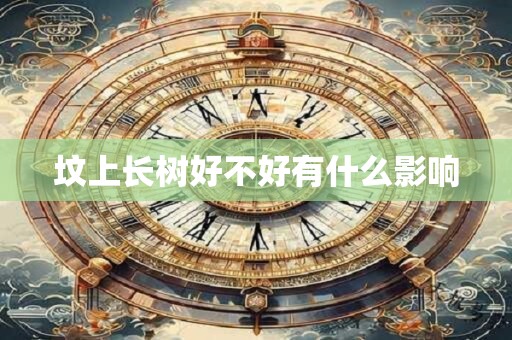 坟上长树好不好有什么影响