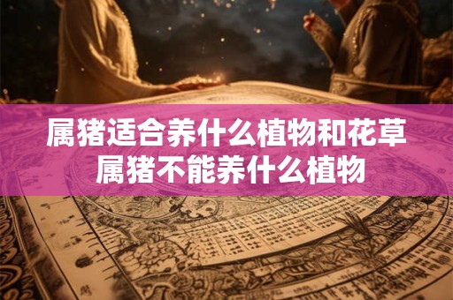属猪适合养什么植物和花草 属猪不能养什么植物