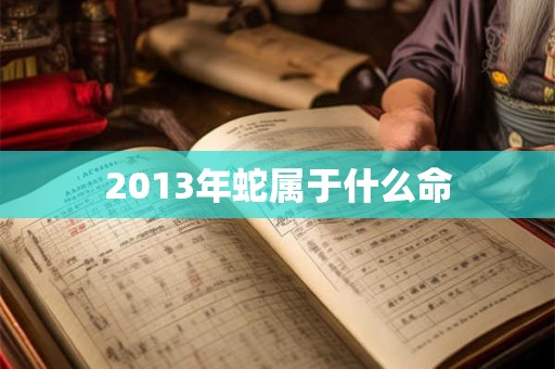 2013年蛇属于什么命