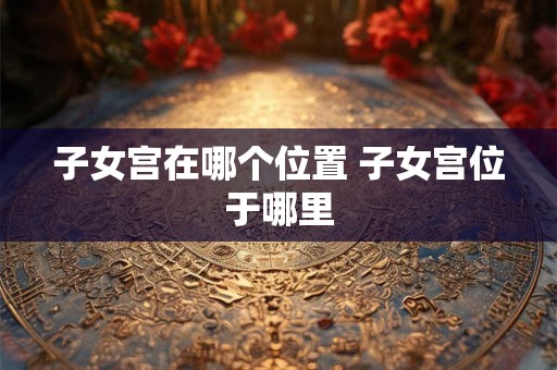 子女宫在哪个位置 子女宫位于哪里