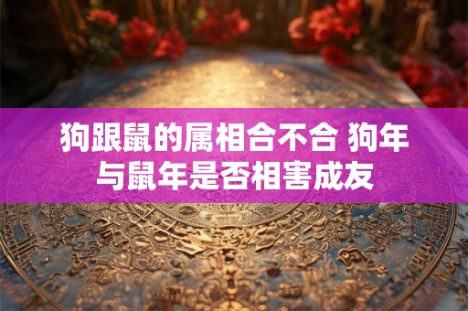 狗跟鼠的属相合不合 狗年与鼠年是否相害成友