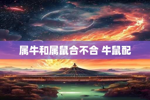 属牛和属鼠合不合 牛鼠配
