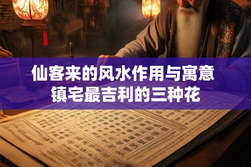 仙客来的风水作用与寓意 镇宅最吉利的三种花