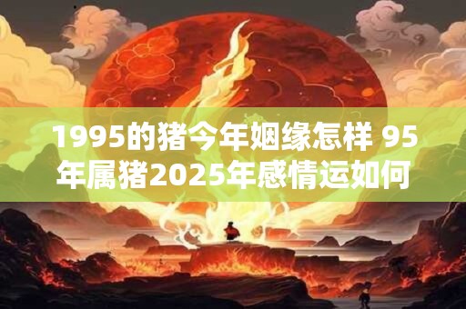 1995的猪今年姻缘怎样 95年属猪2026年感情运如何