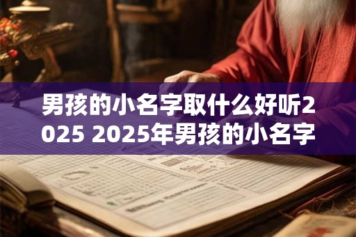 男孩的小名字取什么好听2025 2025年男孩的小名字选什么好听