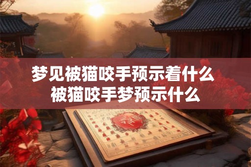 梦见被猫咬手预示着什么 被猫咬手梦预示什么