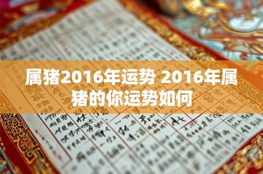 属猪2016年运势 2016年属猪的你运势如何