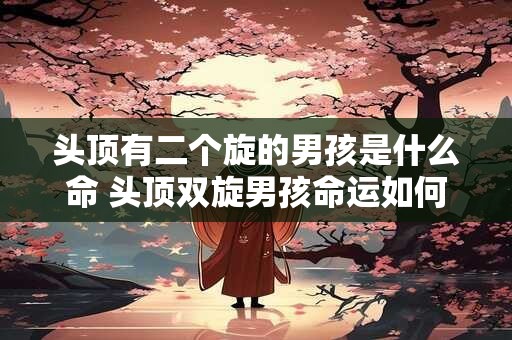 头顶有二个旋的男孩是什么命 头顶双旋男孩命运如何