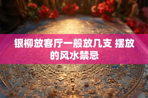 银柳放客厅一般放几支 摆放的风水禁忌