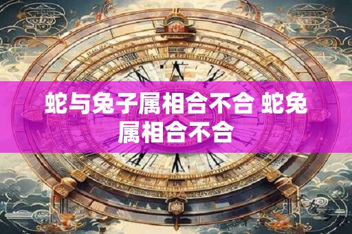 蛇与兔子属相合不合 蛇兔属相合不合
