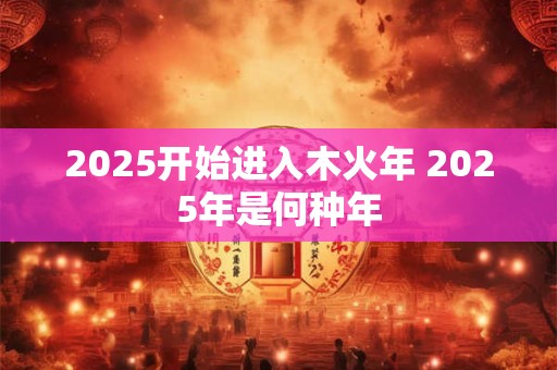 2025开始进入木火年 2025年是何种年