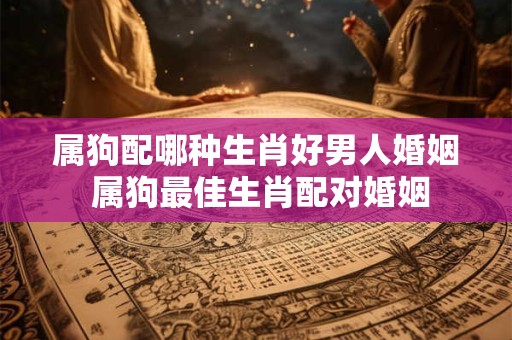 属狗配哪种生肖好男人婚姻 属狗最佳生肖配对婚姻