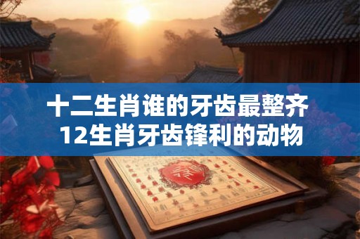 十二生肖谁的牙齿最整齐 12生肖牙齿锋利的动物