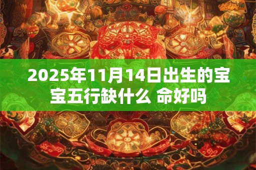 2025年11月14日出生的宝宝五行缺什么 命好吗