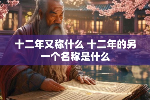 十二年又称什么 十二年的另一个名称是什么