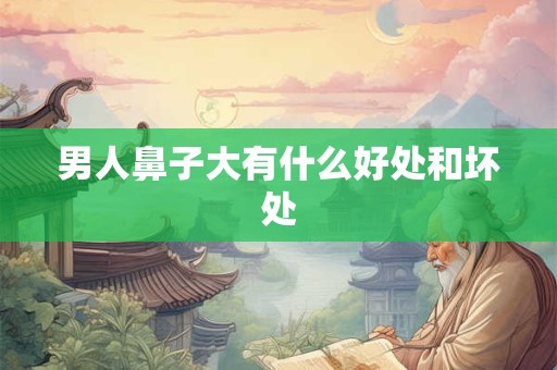 男人鼻子大有什么好处和坏处 男人鼻子大有什么好处和坏处