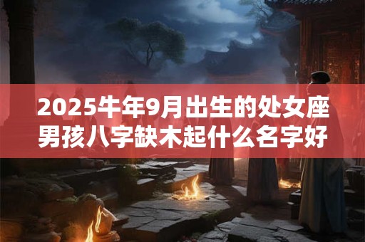 2025牛年9月出生的处女座男孩八字缺木起什么名字好？