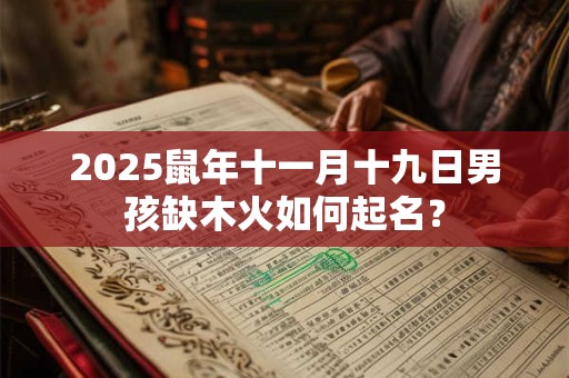 2025鼠年十一月十九日男孩缺木火如何起名？