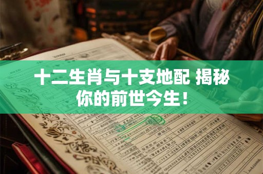十二生肖与十支地配 揭秘你的前世今生！