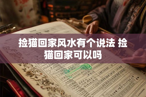 捡猫回家风水有个说法 捡猫回家可以吗