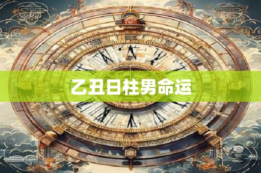 乙丑日柱男命运