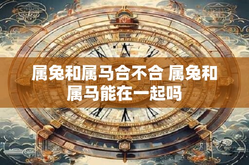 属兔和属马合不合 属兔和属马能在一起吗