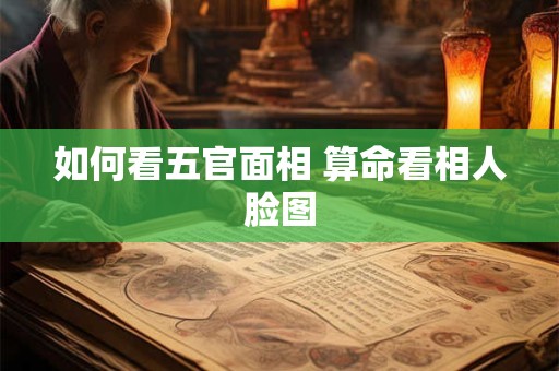 如何看五官面相 算命看相人脸图