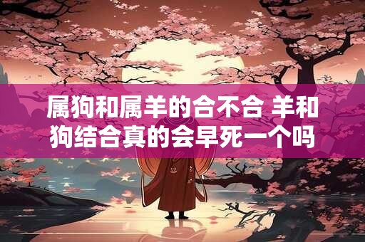 属狗和属羊的合不合 羊和狗结合真的会早死一个吗