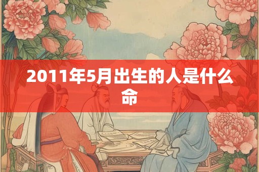 2011年5月出生的人是什么命