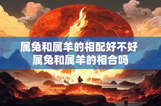 属兔和属羊的相配好不好 属兔和属羊的相合吗