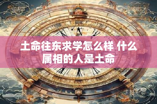 土命往东求学怎么样 什么属相的人是土命