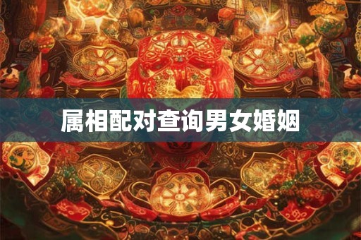 属相配对查询男女婚姻