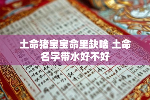 土命猪宝宝命里缺啥 土命名字带水好不好