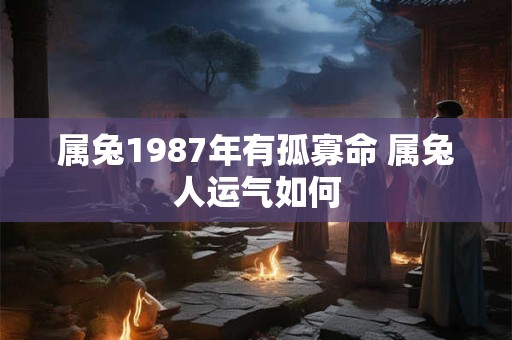 属兔1987年有孤寡命 属兔人运气如何